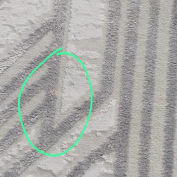 Yenikent Halı Yıkama Merkezi Salon Halısı Yıkama Hatası