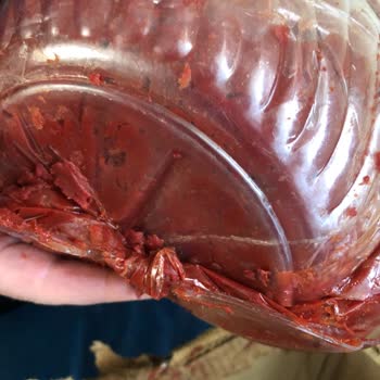 Ege Yöresel Pazar, Aydın Organik Pazar, Müşteriyi Kaale Almıyor.