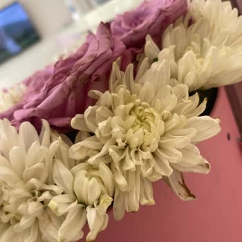 Çiçek Sepeti Torbalı Pişmanlığı!