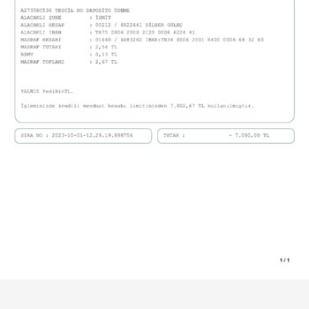 Garanti BBVA IBAN Üzerinde Ki T. C.