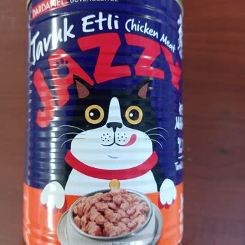 Jazzy Mama Aldım Ama İshal Yaptı