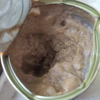 Jazzy Mama Aldım Ama İshal Yaptı