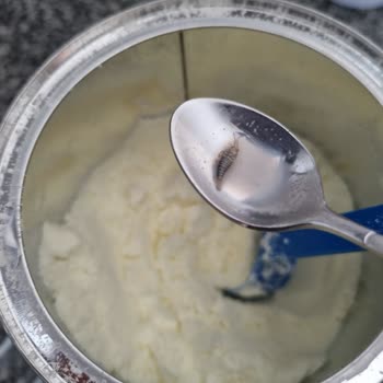 Hipp 1 Mamanın İçerisinden Böcek Cıktı