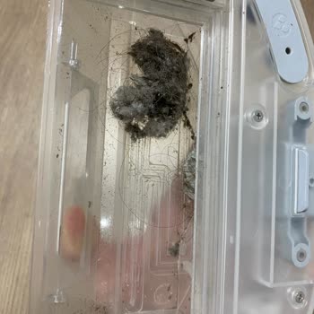 Roidmi Eva Vacum Servisinden Başka Ürün Gönderdiler