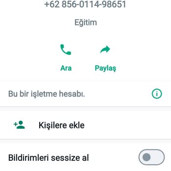 WhatsApp'dan Yurt Dişi Numara