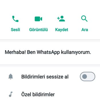 WhatsApp'dan Yurt Dişi Numara