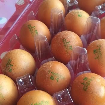 Onur Hipermarketleri Marketten Alınan Gezen Tavuk Yumurtası Küflü Çıktı