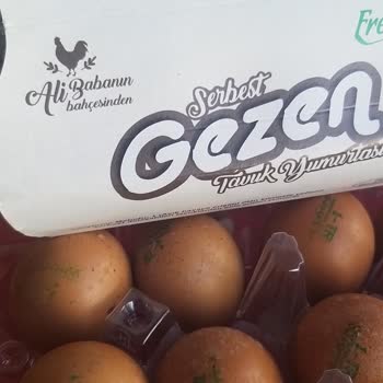 Onur Hipermarketleri Marketten Alınan Gezen Tavuk Yumurtası Küflü Çıktı