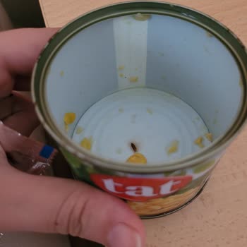 Tat Gıda Tat Mısır Böcek Cıktı