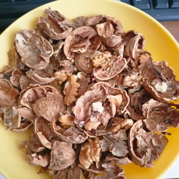 Tarım Kredi Kooperatif Market 1 Kg Kabuklu Cevizin Çoğu Bozuk Çıktı