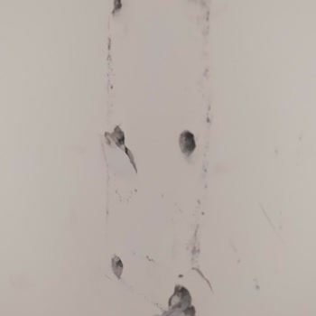 Fenoti Monte Edilen TV Düştü