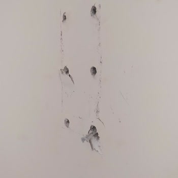 Fenoti Monte Edilen TV Düştü