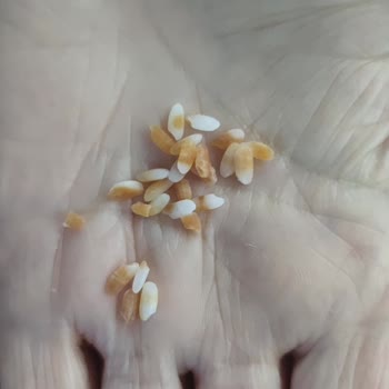 BİM Efsane Markada Bozuk Ürün Satımı