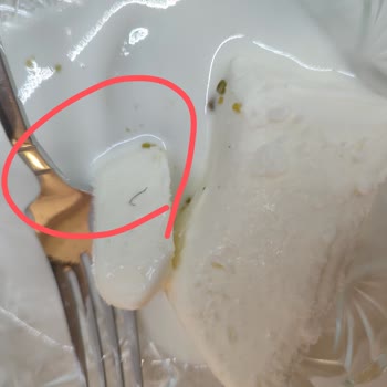 BİM Dondurmadan Kıllar Çıktı!