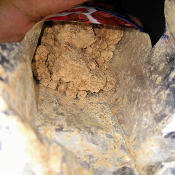 Nestle Çikolata Renk Değişimi