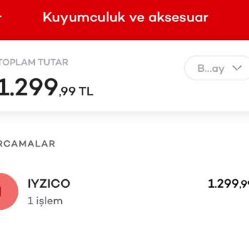 Shopify.com Shopify Arwen Saat