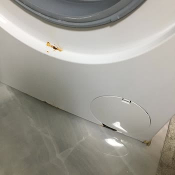 Bosch Çamaşır Makinesi Pas