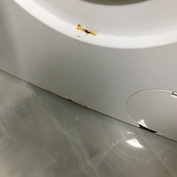 Bosch Çamaşır Makinesi Pas