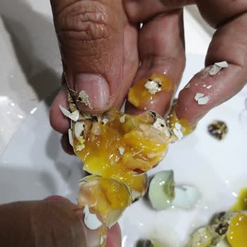 Albir Gross Bozuk Ürün Satışı