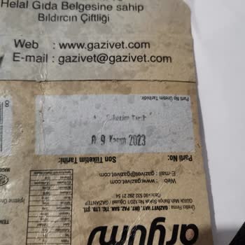 Gazivet Aryum Marka Bıldırcın Yumurtaları Bozuk