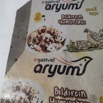 Gazivet Aryum Marka Bıldırcın Yumurtaları Bozuk