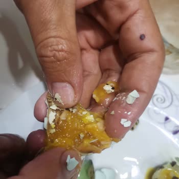 Gazivet Aryum Marka Bıldırcın Yumurtaları Bozuk