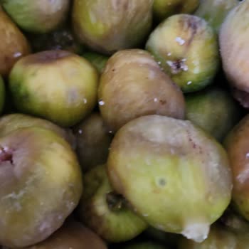 Bosch Müşteri Memnuniyetsizliği