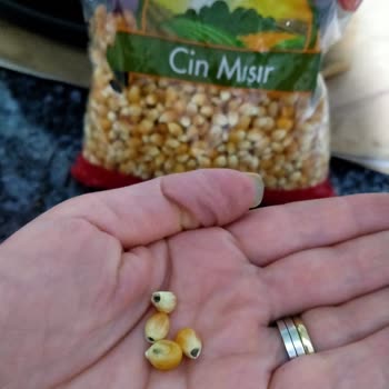 A101 Küflü Çıkan Patlatmalık Mısır
