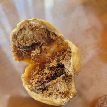 incircenneti.com Pişmanlığım