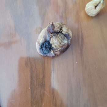 incircenneti.com Pişmanlığım