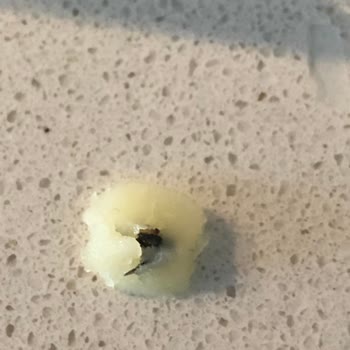 Akgünler Süt ve Süt Ürünleri Peynirden Böcek Çıktı