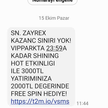 Vippark Tan Gelen SMS'ler