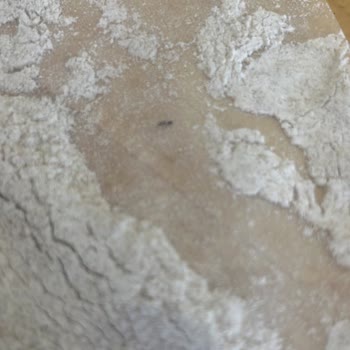 Tellioğlu Şirketler Grubu Tellioğlu Organik Tam Buğday Unu Canlı Güveli