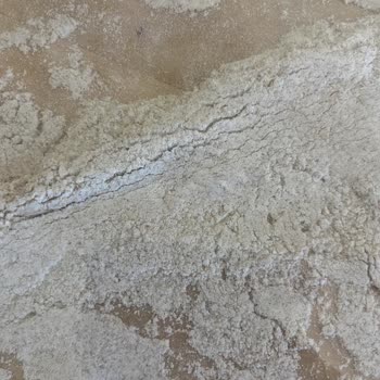 Tellioğlu Şirketler Grubu Tellioğlu Organik Tam Buğday Unu Canlı Güveli