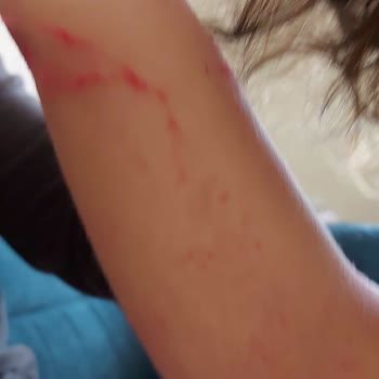 LCW Kalitesiz Ürün