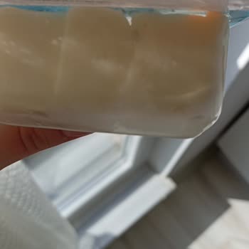 Güneşoğlu Süt Gıda Peynir Paketinin İçinde Bir Şey Var