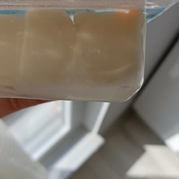 Güneşoğlu Süt Gıda Peynir Paketinin İçinde Bir Şey Var