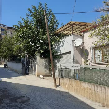 Türk Telekom Telefon Direklerinin Değişimine Talep
