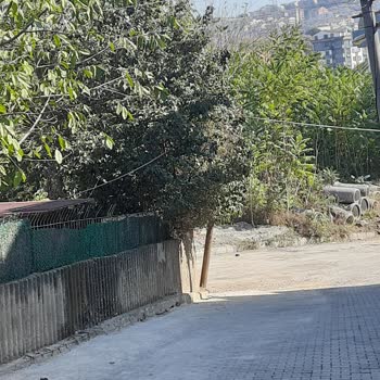 Türk Telekom Telefon Direklerinin Değişimine Talep