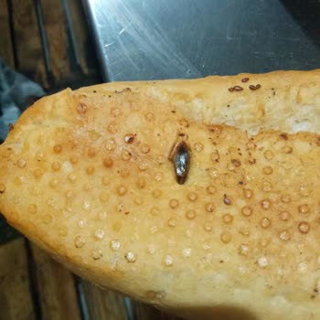 Birtat Fırın'dan Aldığımız Ekmekte Böcek Çıktı