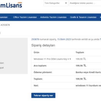 Sağlam Lisans KEY Çalışmıyor