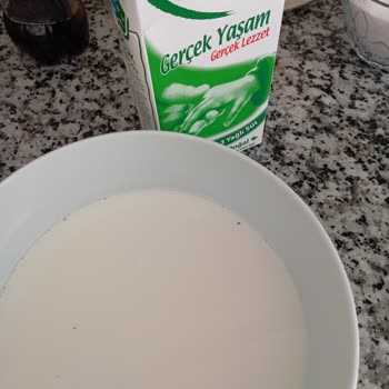 Pınar Süt İçerisinde Sinekler ve Pislikler