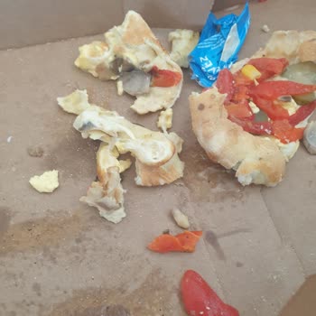 Domino's Pizza Çiğ Hamurlu Domdom Burger