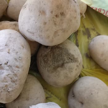 Şok Marketler Patates Ve Biskrem Alışverişi