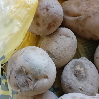Şok Marketler Patates Ve Biskrem Alışverişi