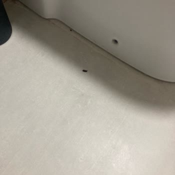 Mayan Bungalows Sapanca Mağduriyeti