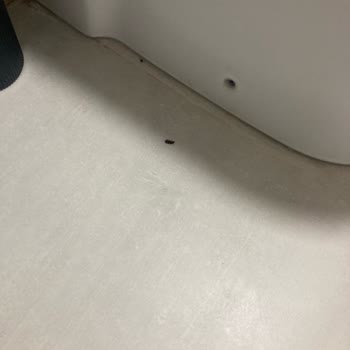 Mayan Bungalows Mağduriyeti