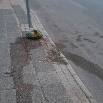 Antalya Aksu Belediyesi Temizlikte Sınıfta Kalmış