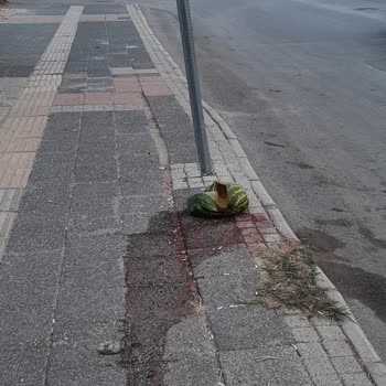 Antalya Aksu Belediyesi Temizlikte Sınıfta Kalmış