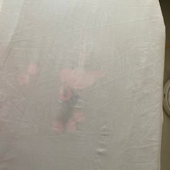 Kiğılı Giyim Yalan Beyan Vaat